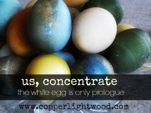 us, concentrate: the white egg is only prologue (easter at Copperlight Wood)