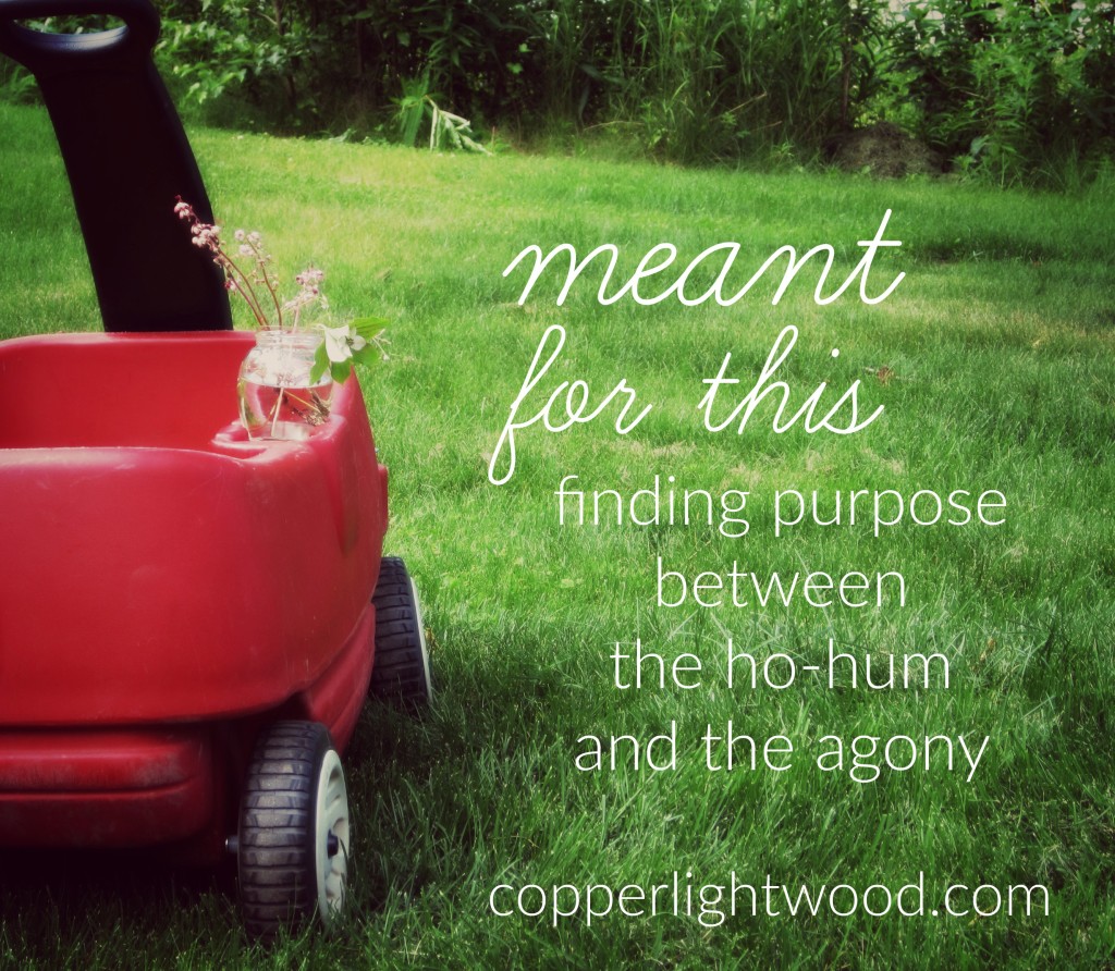 meant for this: finding purpose between the ho-hum and the agony