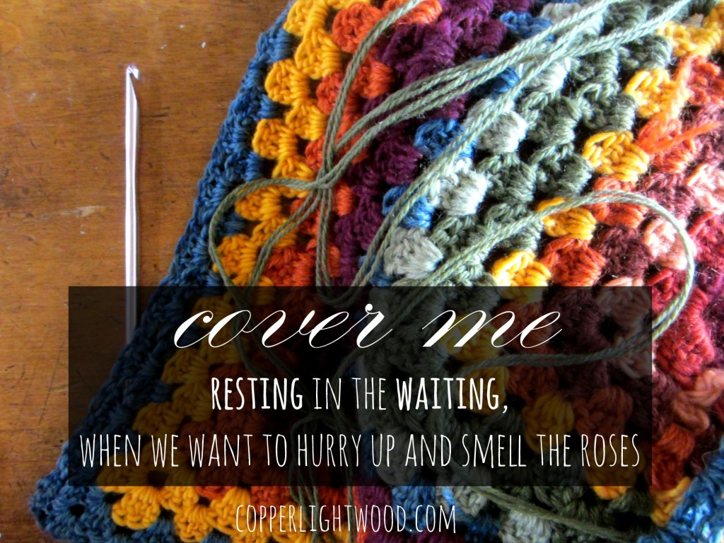 cover me: resting in the waiting, when we want to hurry up and smell the roses (Copperlight Wood)