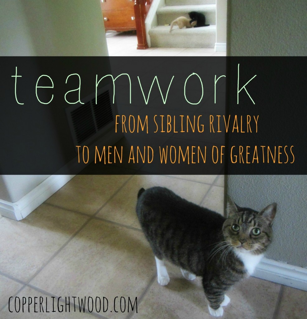 teamwork: from sibling rivalry to men and women of greatness (Copperlight Wood)