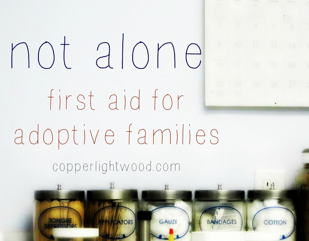 not alone: first aid for adoptive families (Copperlight Wood)