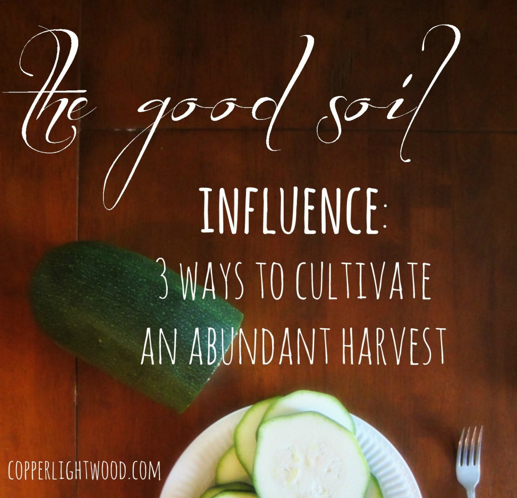 the good soil: influence - 3 ways to cultivate an abundant harvest (Copperlight Wood)