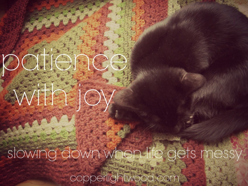 patience with joy: slowing down when life gets messy