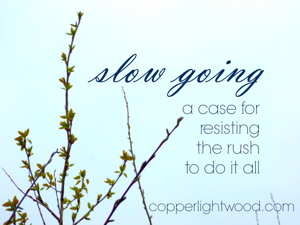 slow going: a case for resisting the rush to do it all