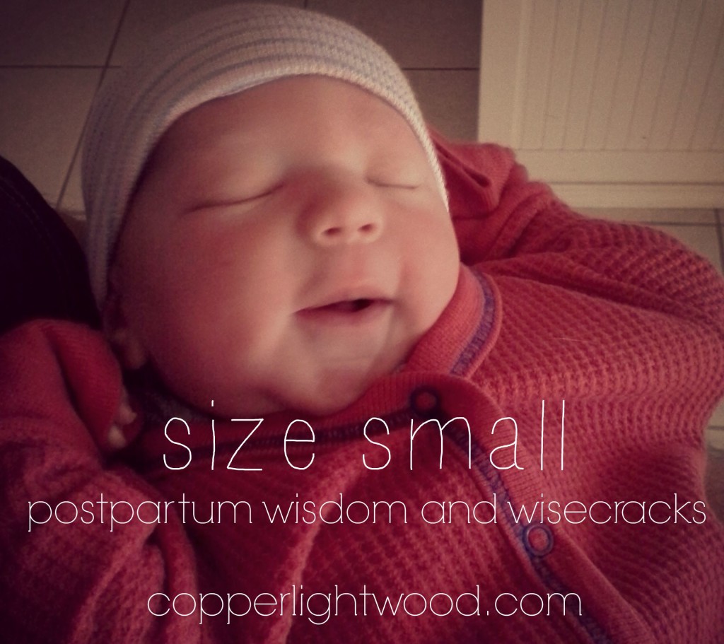 size small: postpartum wisdom and wisecracks