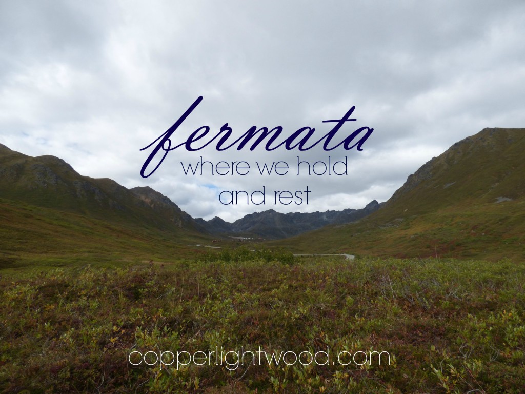 fermata: where we hold and rest (Copperlight Wood)