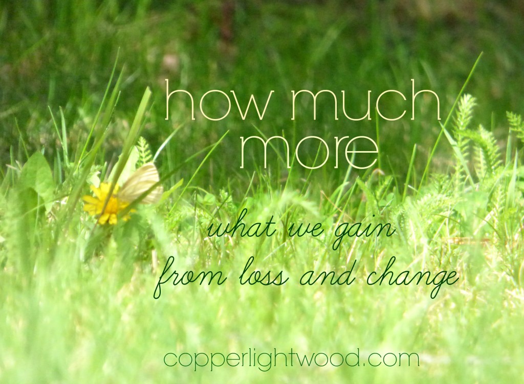 how much more: what we gain from loss and change - Copperlight Wood