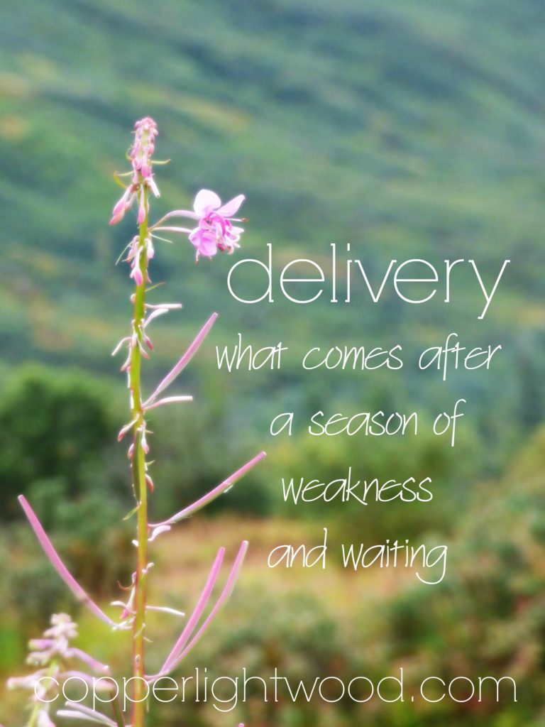 delivery: what comes after a season of weakness and waiting