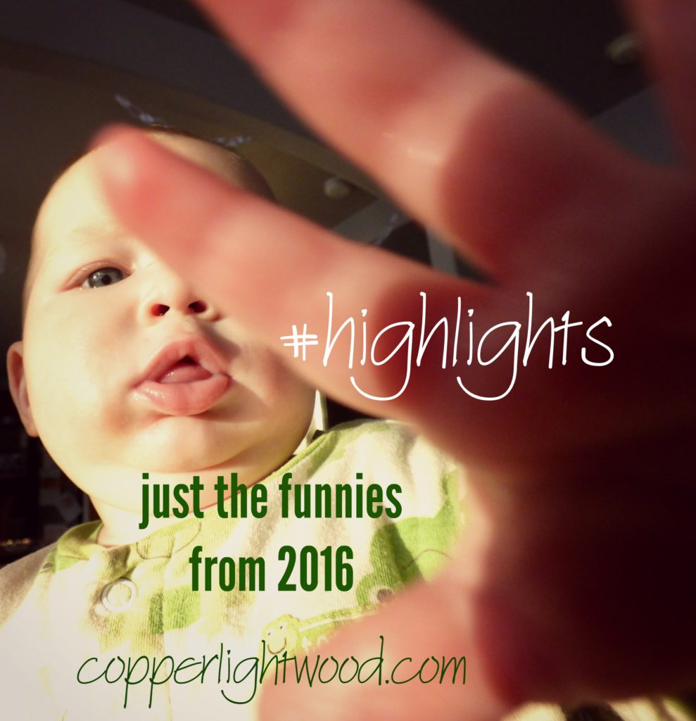 hashtag highlights: just the funnies from 2016 at Copperlight Wood