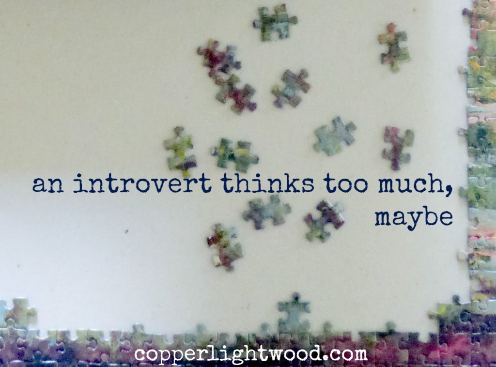 an introvert thinks too much, maybe