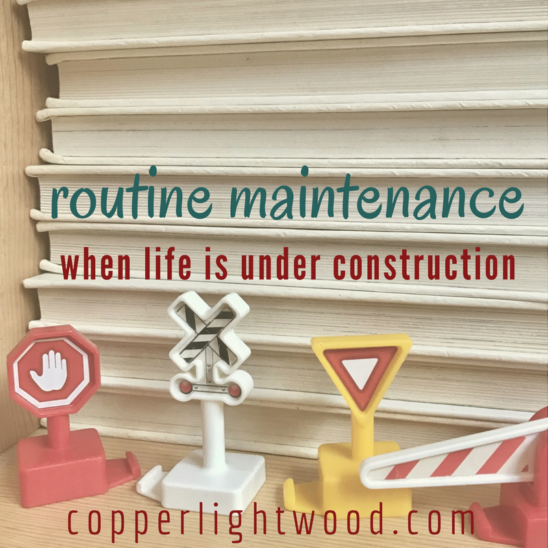 routine maintenance: when life is under construction