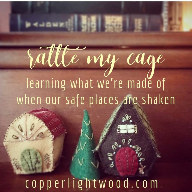rattle my cage: learning what we're made of when our safe places are shaken