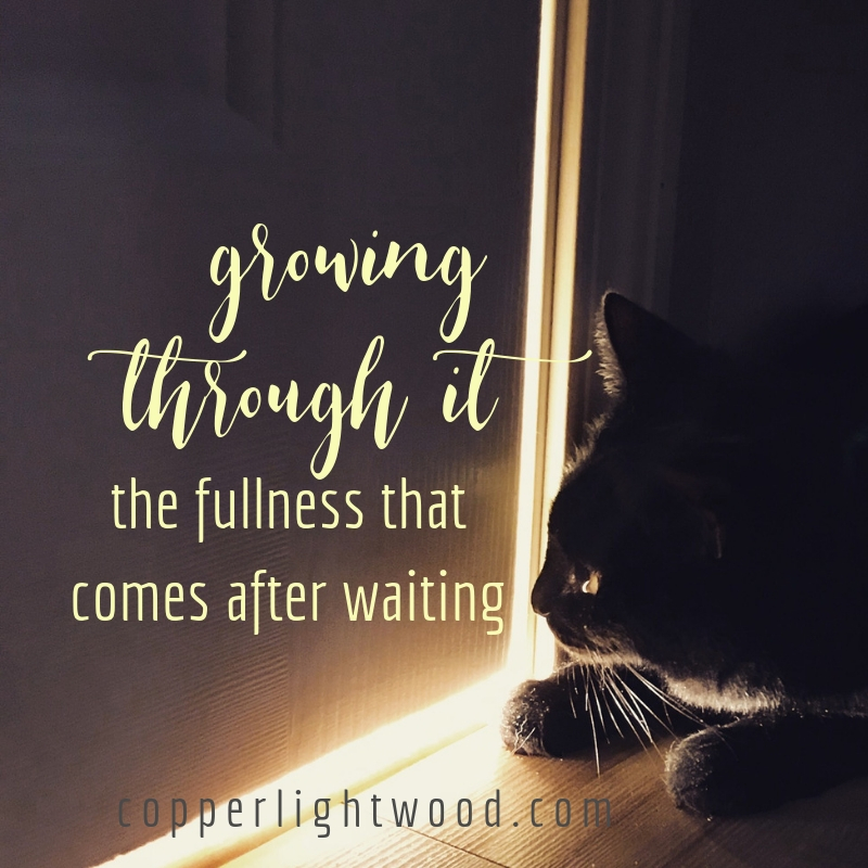 growing through it: the fullness that comes after waiting