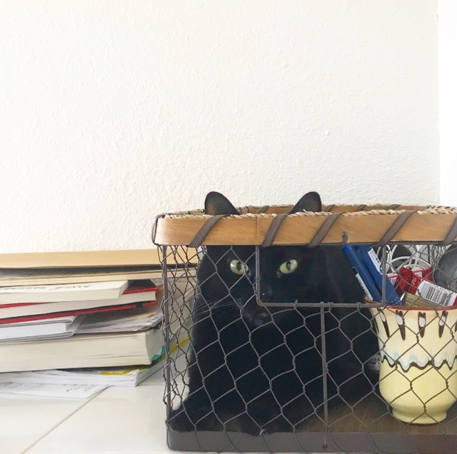 dealing with the mess: Knightley in a basket