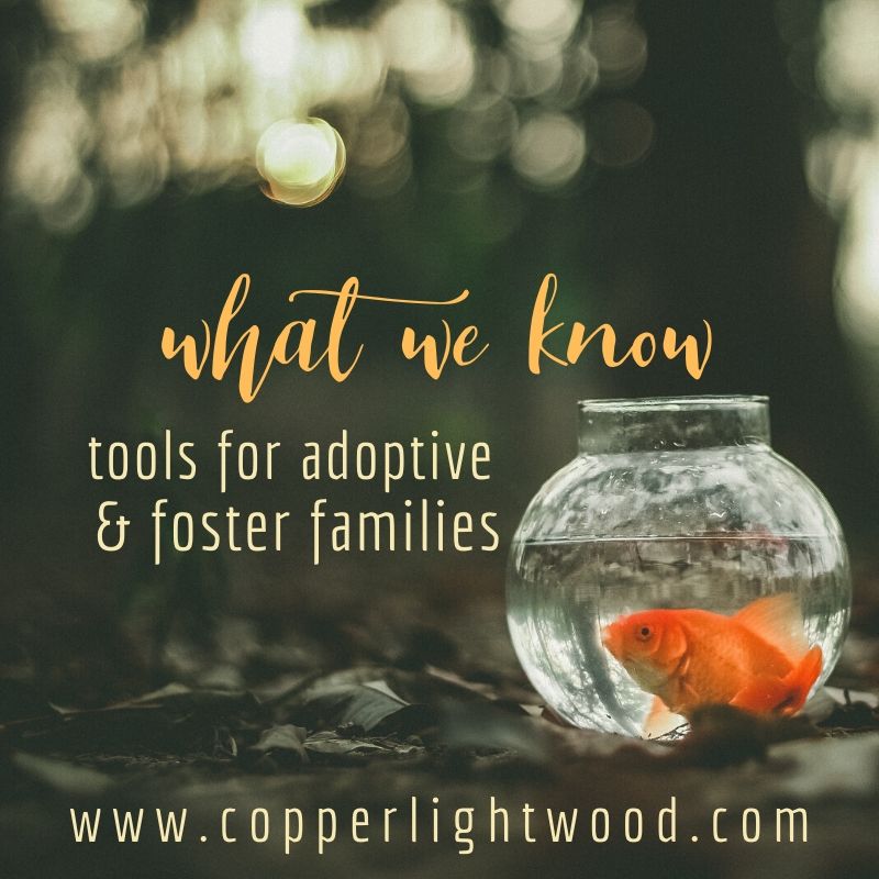what we know: tools for adoptive and foster families
