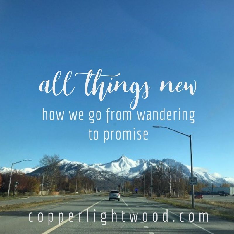 all things new: how we go from wandering to promise