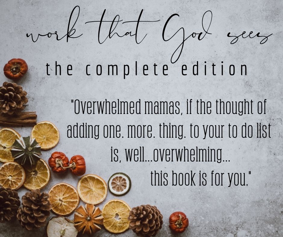 Work That God Sees: prayerful motherhood in the midst of the overwhelm (complete edition)