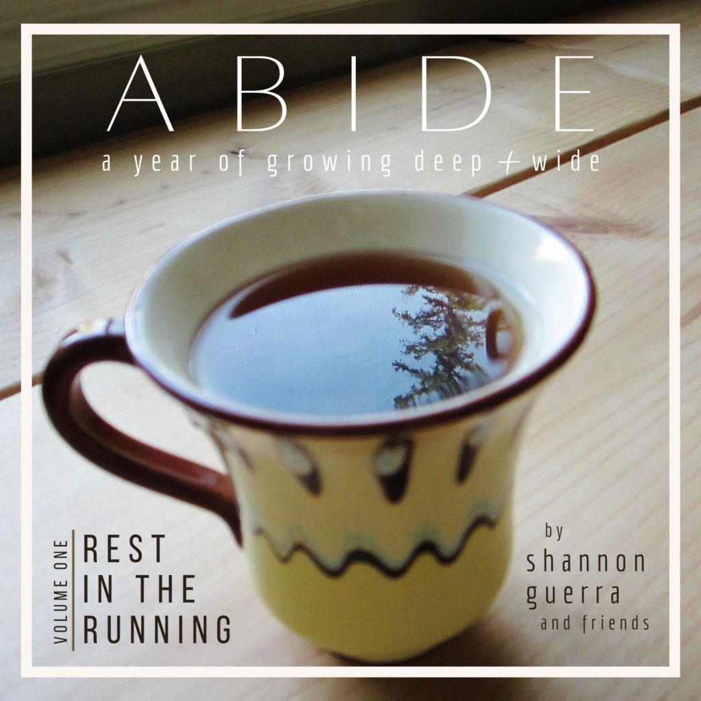Abide: A Year of Growing Deep + Wide