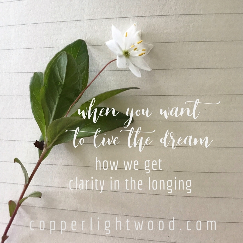 when you want to live the dream: how we get clarity in the longing