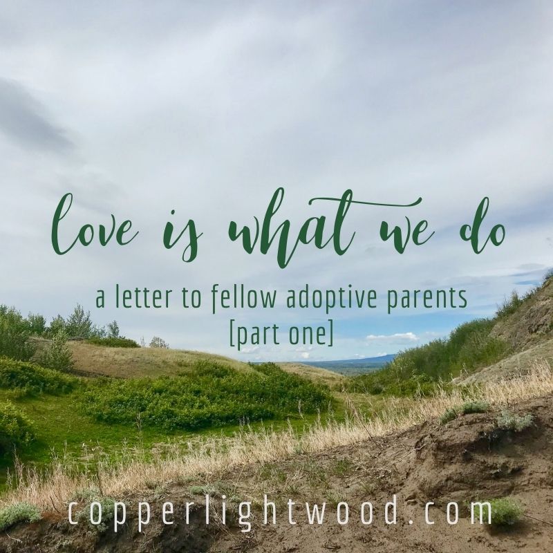 love is what we do: a letter to fellow adoptive parents