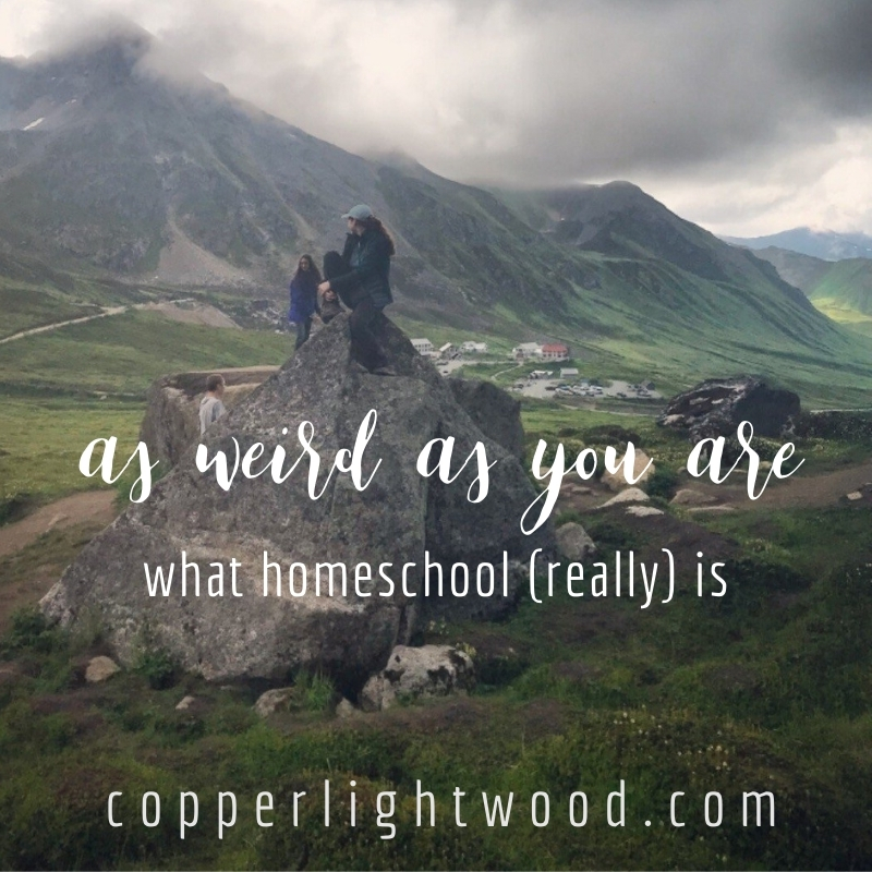 as weird as you are: what homeschool (really) is