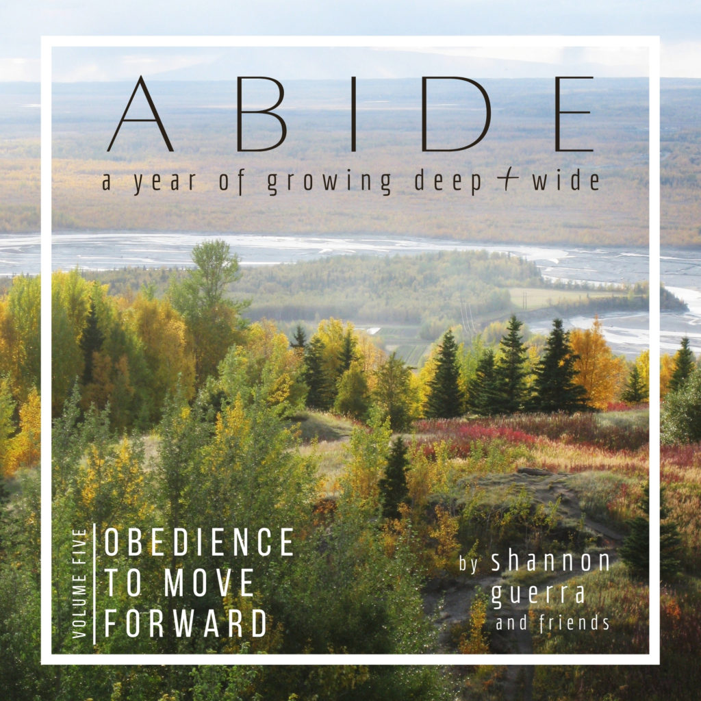ABIDE volume 5: Obedience to Move Forward
