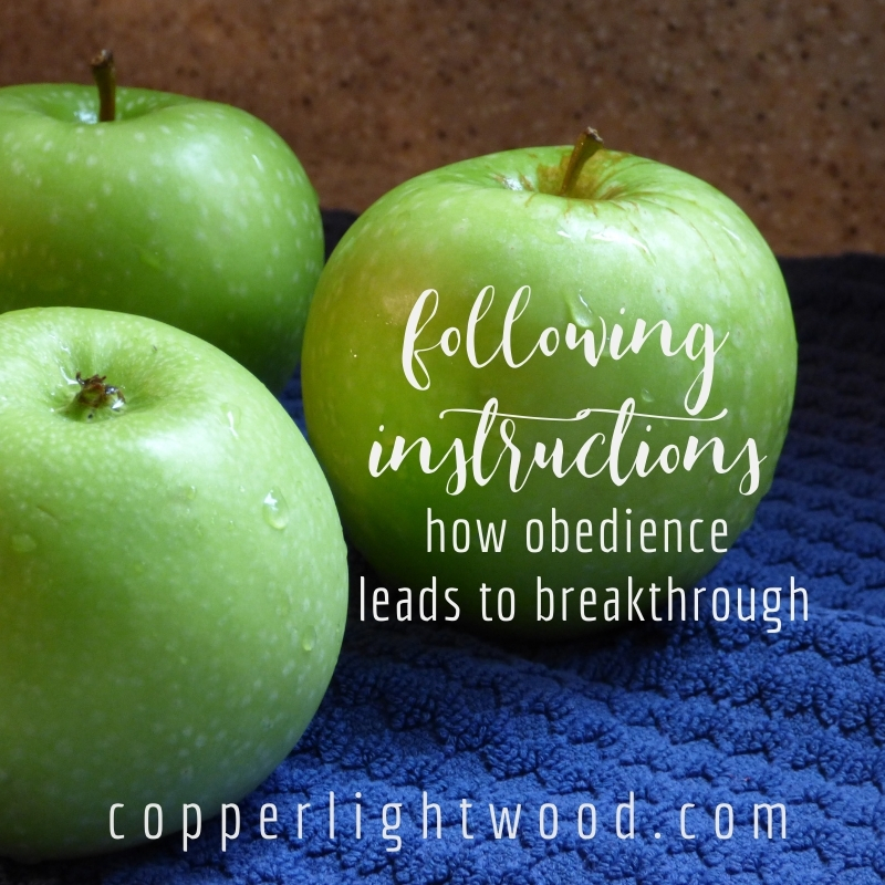 following instructions: how obedience leads to breakthrough