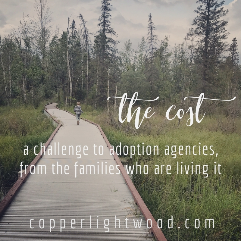 the cost: a challenge to adoption agencies, from the families who are living it