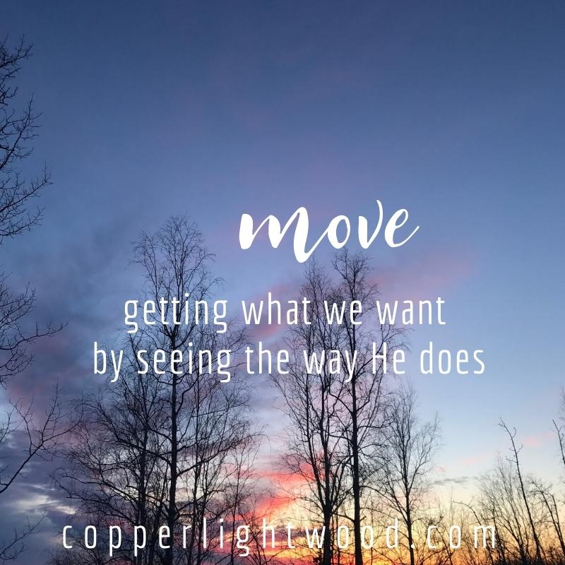 move: getting what we want by seeing the way He does