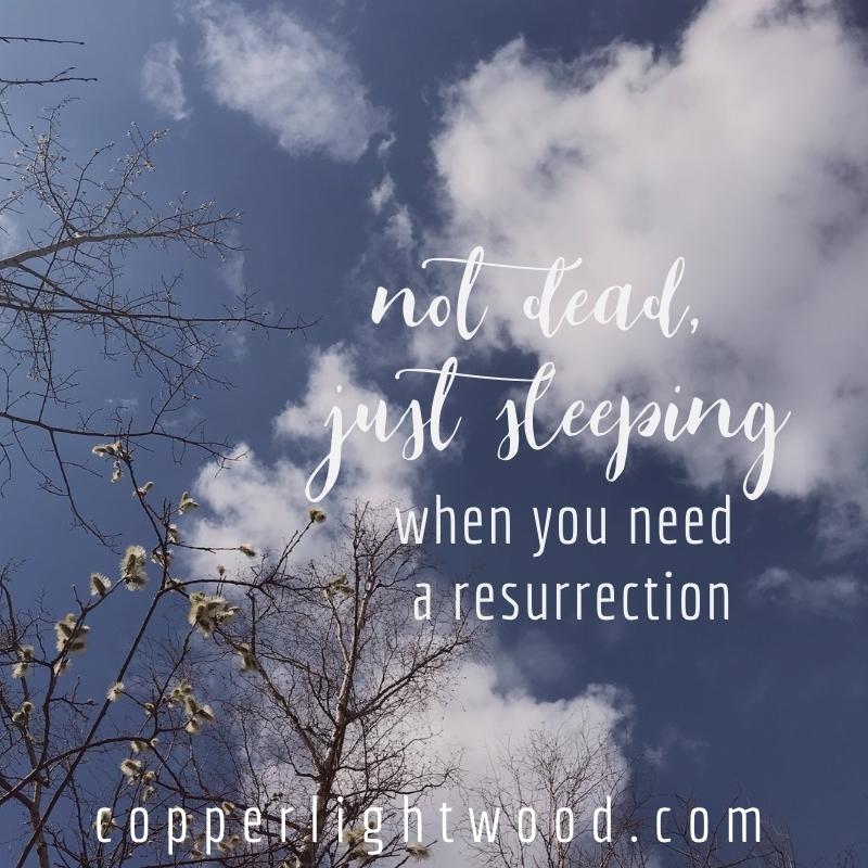 not dead, just sleeping: when you need a resurrection

