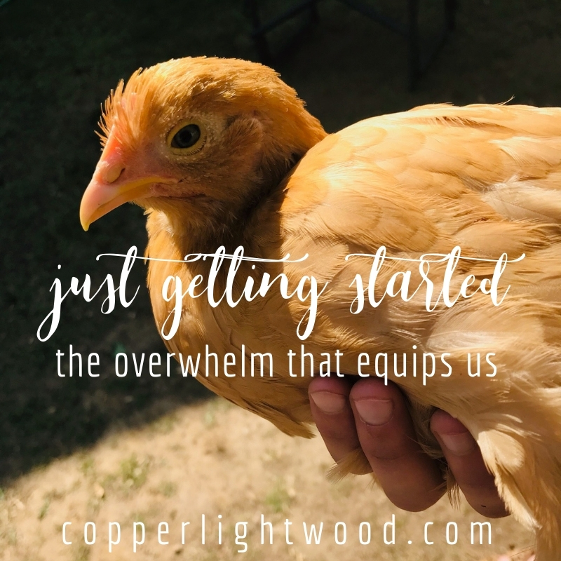 just getting started: the overwhelm that equips us