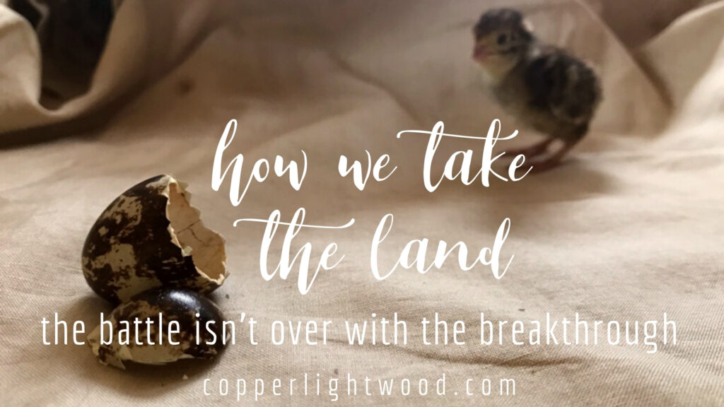 how we take the land: the battle isn't over with the breakthrough