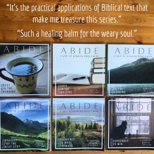 The ABIDE series by Shannon Guerra and friends | "It's the practical application of Biblical text that makes me treasure this series." "Such a healing balm for the weary soul."