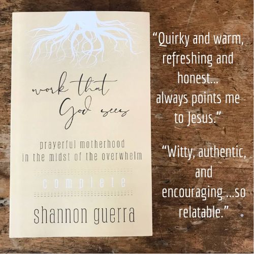 work that God sees: prayerful motherhood in the midst of the overwhelm by Shannon Guerra | "Quirky and warm, refreshing and honest...always points me to Jesus." Witty, authentic, and encouraging...so relatable."