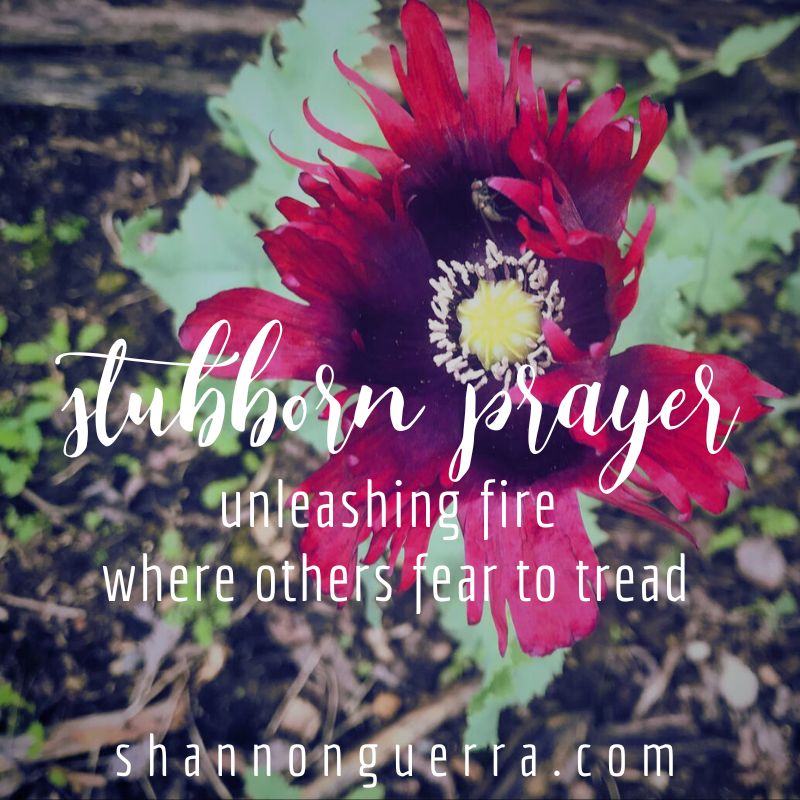 stubborn prayer: unleashing fire where others fear to tread