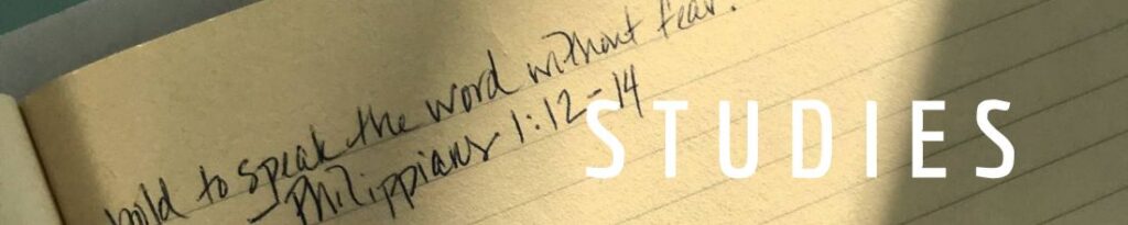 studies | Shannon Guerra @Copperlight Wood